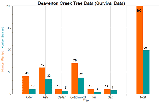 Beaverton Creek Tree Population
