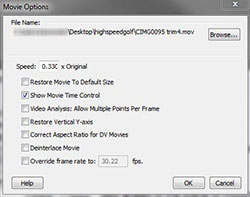 Movie options dialog box in Logger Pro 3.8.2