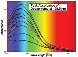Full wavelength scans showing the conversion of DL-DOPA to dopachrome over a 2 minute period
