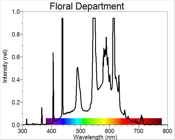Floral Department