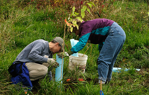 Sam Swartley and Marian Griffiths planting a tree