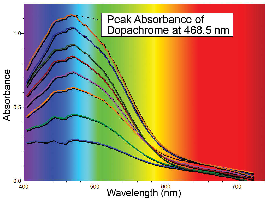 Full wavelength scans showing the conversion of DL-DOPA to dopachrome over a 2 minute period