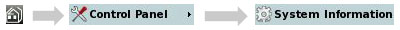 Home > Control Panel > System Information
