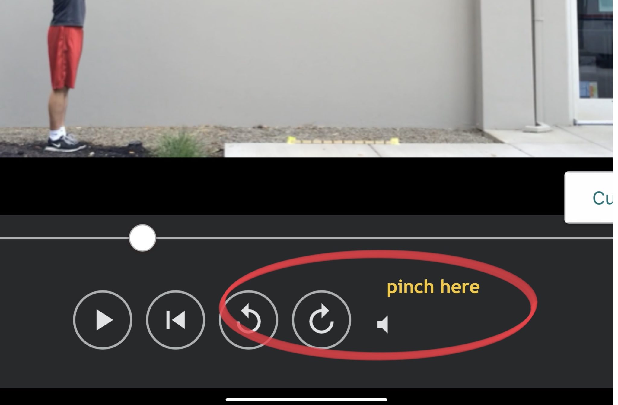 Vernier Video Analysis is zoomed in on my iPad, and I cannot get it to