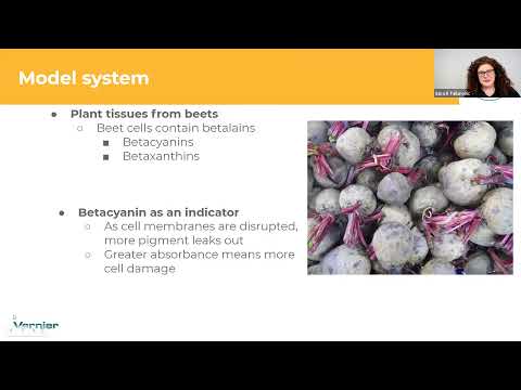 Investigating the Impacts of Osmotic Balance, Detergents, and pH on Biological Membranes