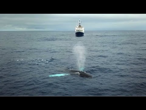 Why We Explore: A Collaboration with @oceanexplorergov and @SchmidtOceanVideos | Nautilus Live
