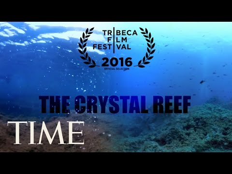 The Crystal Reef: How Climate Change Is Affecting Our Oceans | 360 | TIME