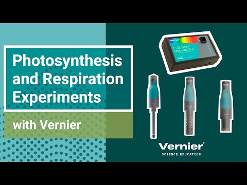 Three Ways to Explore Photosynthesis and Respiration with Vernier