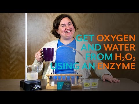 Get Oxygen and Water from Hydrogen Peroxide using an Enzyme
