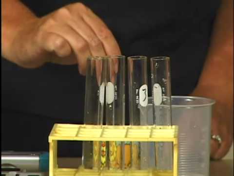 Enzyme Action (Computer)