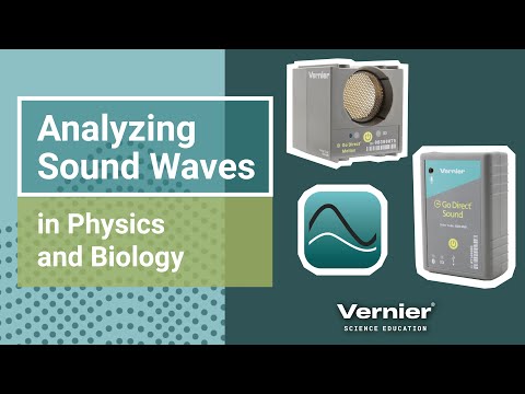 Animal Acoustics: Analyzing Sound Waves in Physics and Biology