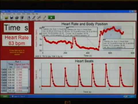 Heart Rate and Body Position (Computers)