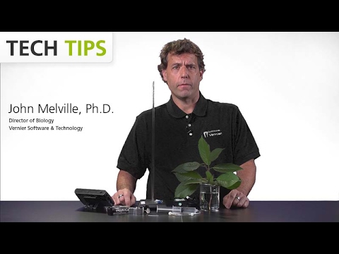 Investigate Transpiration with the Gas Pressure Sensor — Tech Tips
