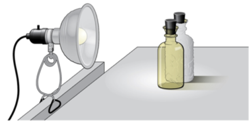 light and dark bottle method of measuring primary productivity