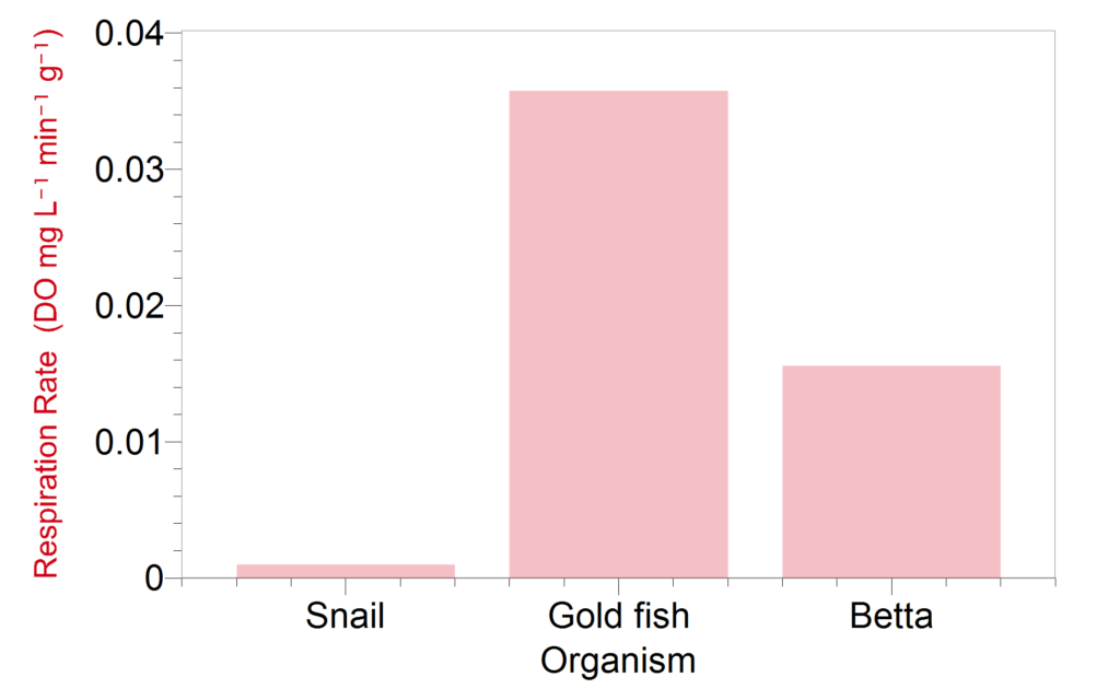 Comparative Physiology of Snails and Fish