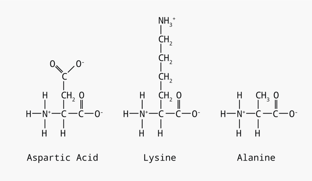 Macromolecules Experiments with Protein > Experiment 17 from Advanced