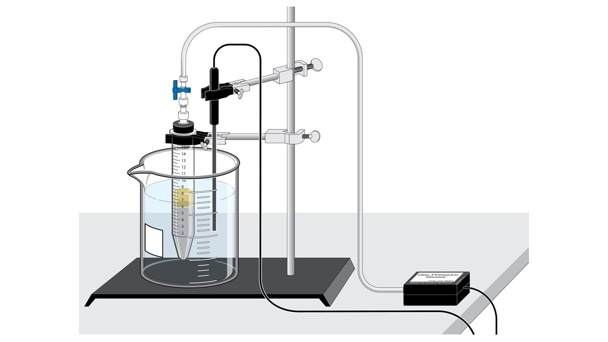 Sugar and Yeast Fermentation Experiment Anaerobic Fermentation