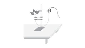 lab.BWV-10-COMP-transpiration