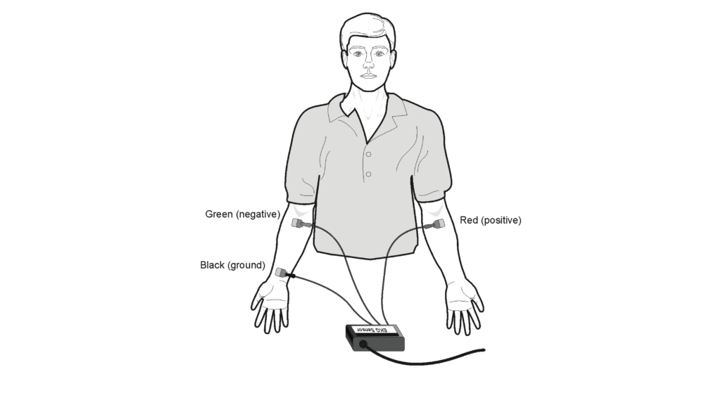 Analyzing the Heart with EKG > Experiment 12 from Human Physiology with