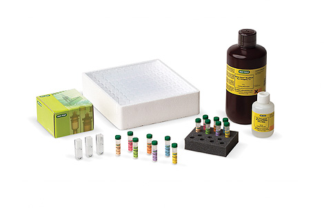 lse_got_protein_kit