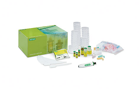 lse_pglo_bacterial_tran_kit