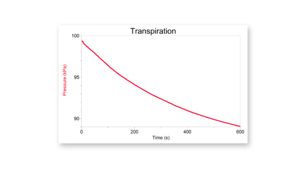 Pressure decreases as transpiration occurs