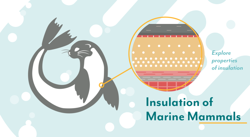 Challenge Your Students to Think Differently About Temperature Regulation in Marine Mammals - Vernier Challenge Your Students to Think Differently About Temperature Regulation in Marine Mammals - Vernier