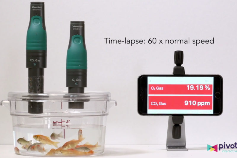 Pivot Interactives for Biology - Vernier