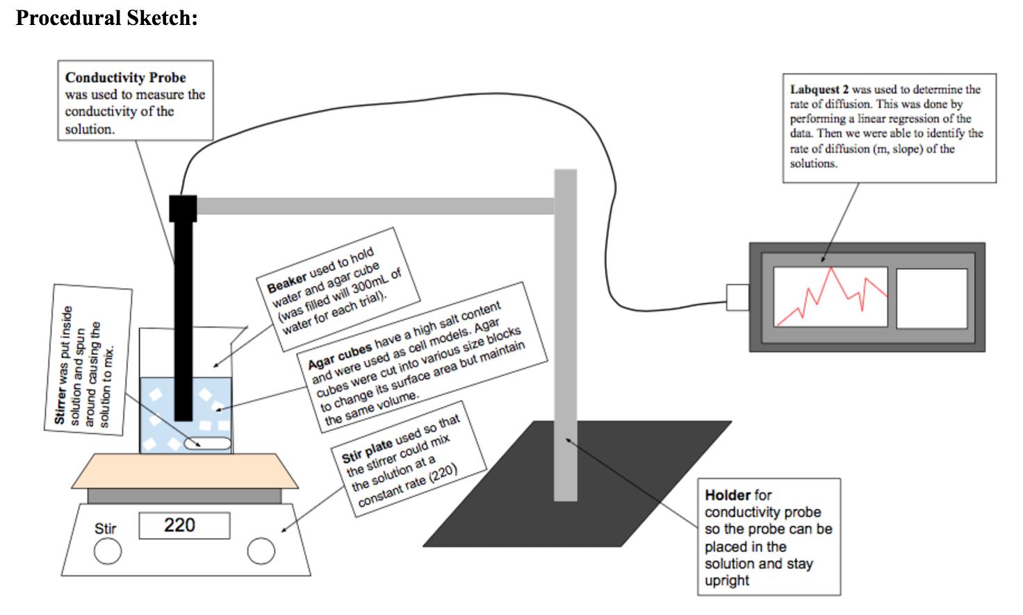 Vernier Technology Makes a Difference Building Visual and Digital