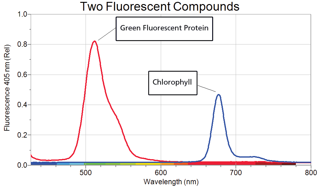 Use the SpectroVis Plus to Explore Fluorescence Spectroscopy