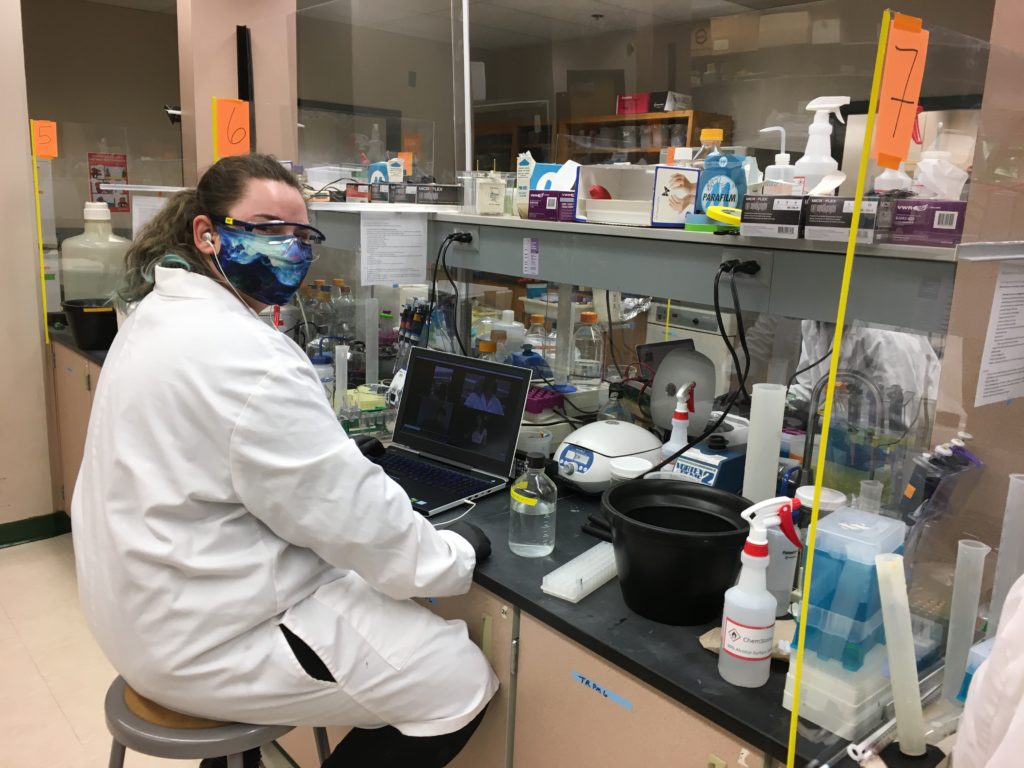 OSU Students Collaborating
