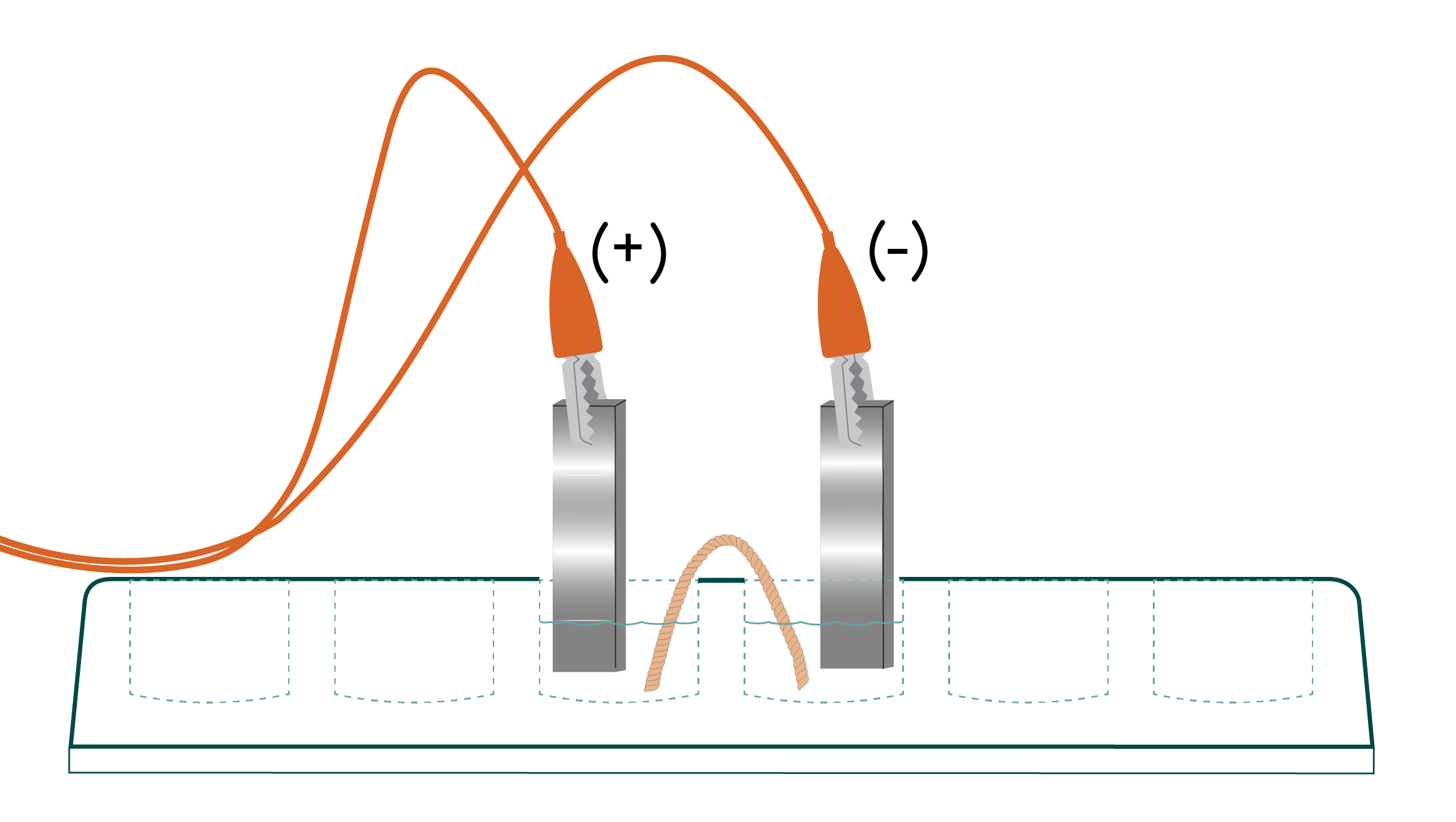 Keep your electrochemistry lesson plans current and move beyond the lemon battery! Join Vernier chemistry expert Nüsret Hisim as he explores electrochemistry through a voltaic cell experiment. You’ll learn how to use simple materials, including string, metal wire, and salt solutions, to create half-cells with your students. This experiment will help students understand the structure of a voltaic cell, electrolytes, and salt bridges.
