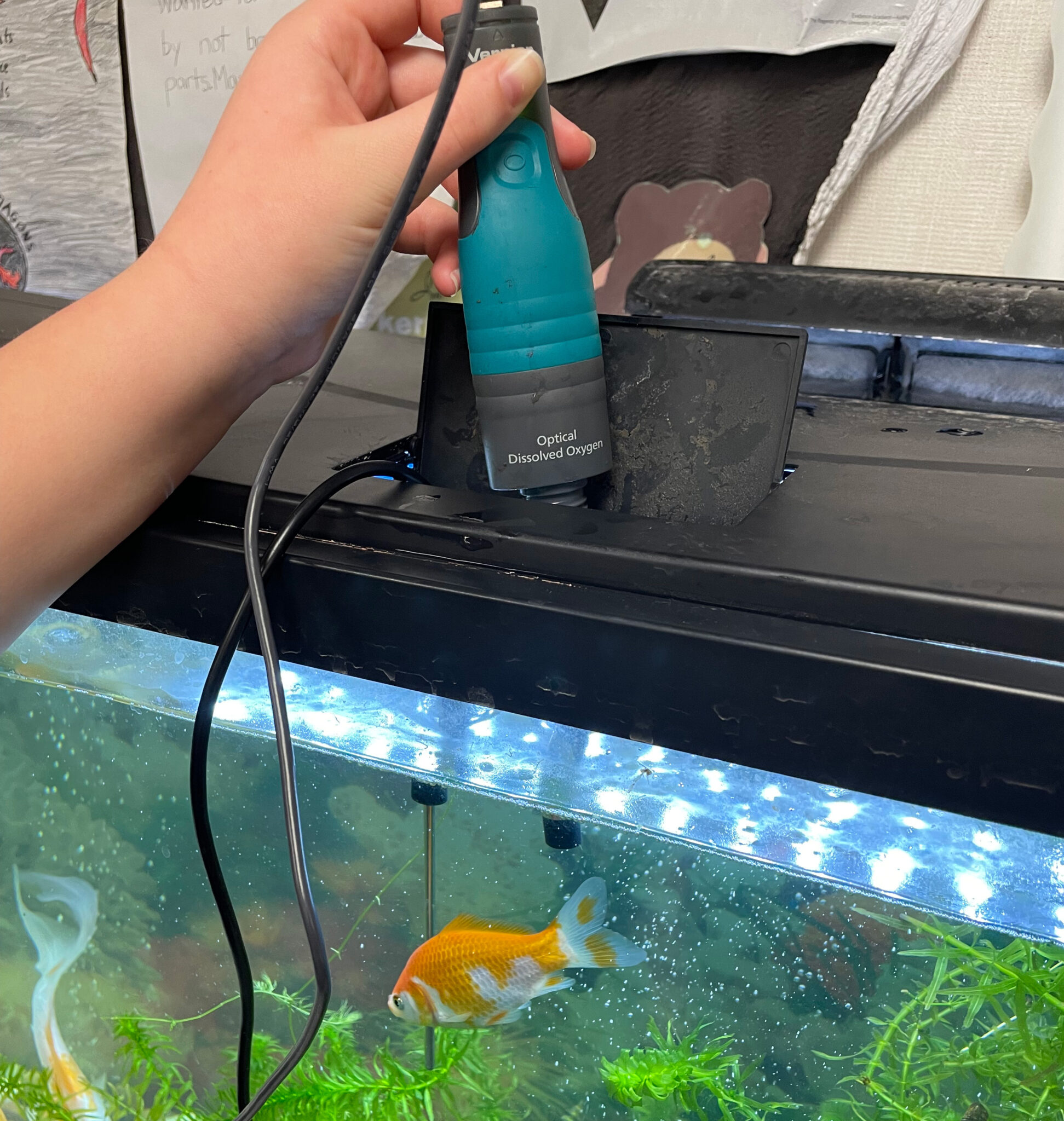 Empowering Students and Extending STEM Curriculum with a Classroom ...