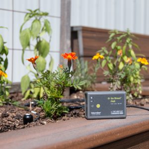 Go Direct® PAR sensor in the garden